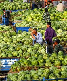 陇南网红吃瓜满床跑,揭秘网络红人的日常生活  第2张