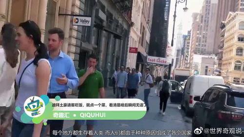 迪拜爆料新闻视频大全,揭秘城市背后的惊人真相与奇闻异事  第1张